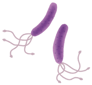 virus_pylori_pirorikin